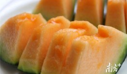 免费吃瓜渠道入口在哪,一网打尽各大免费瓜源入口